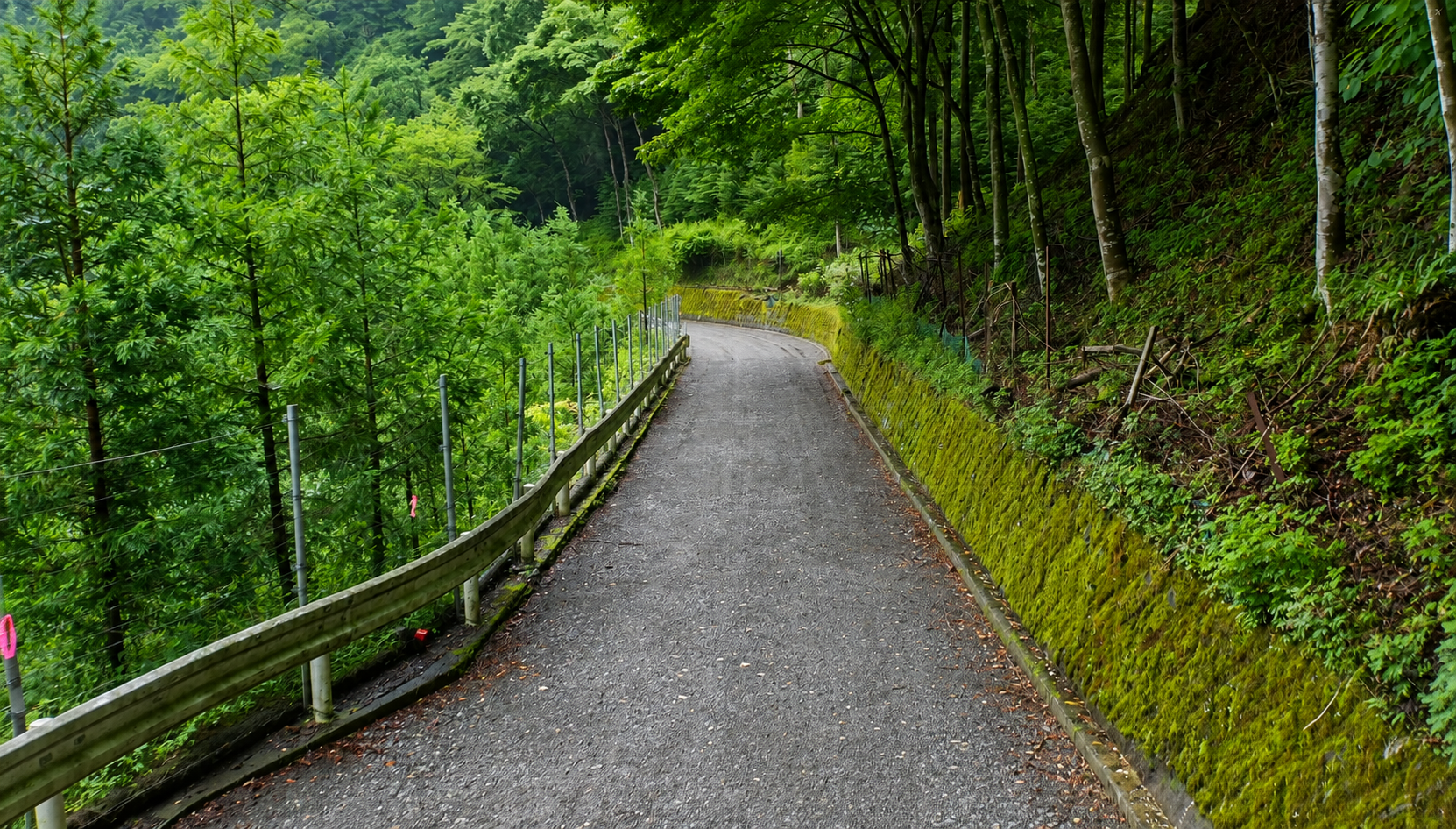 令和2年度金沢林道過年災害復旧工事(公共)の写真(神奈川県清川村)